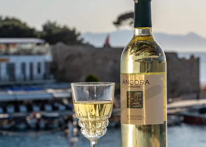 Ξενοδοχείο Karacam Foca